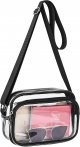 Clear Purse